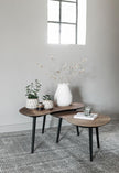 Coffee table Organus, set of 2
