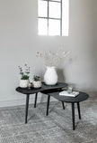 Coffee table Organus, set of 2
