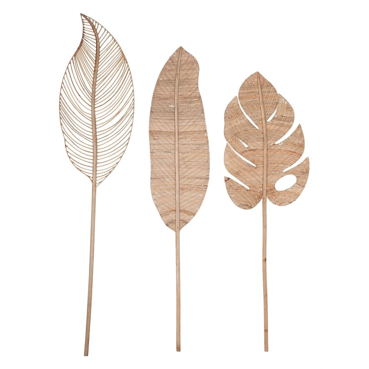 Banana Leaf