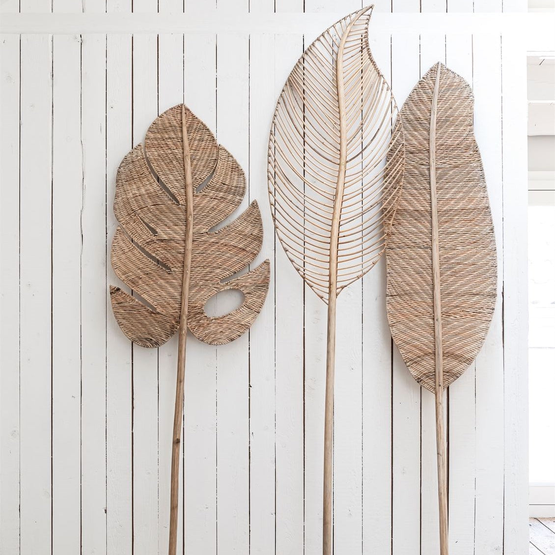 Banana Leaf
