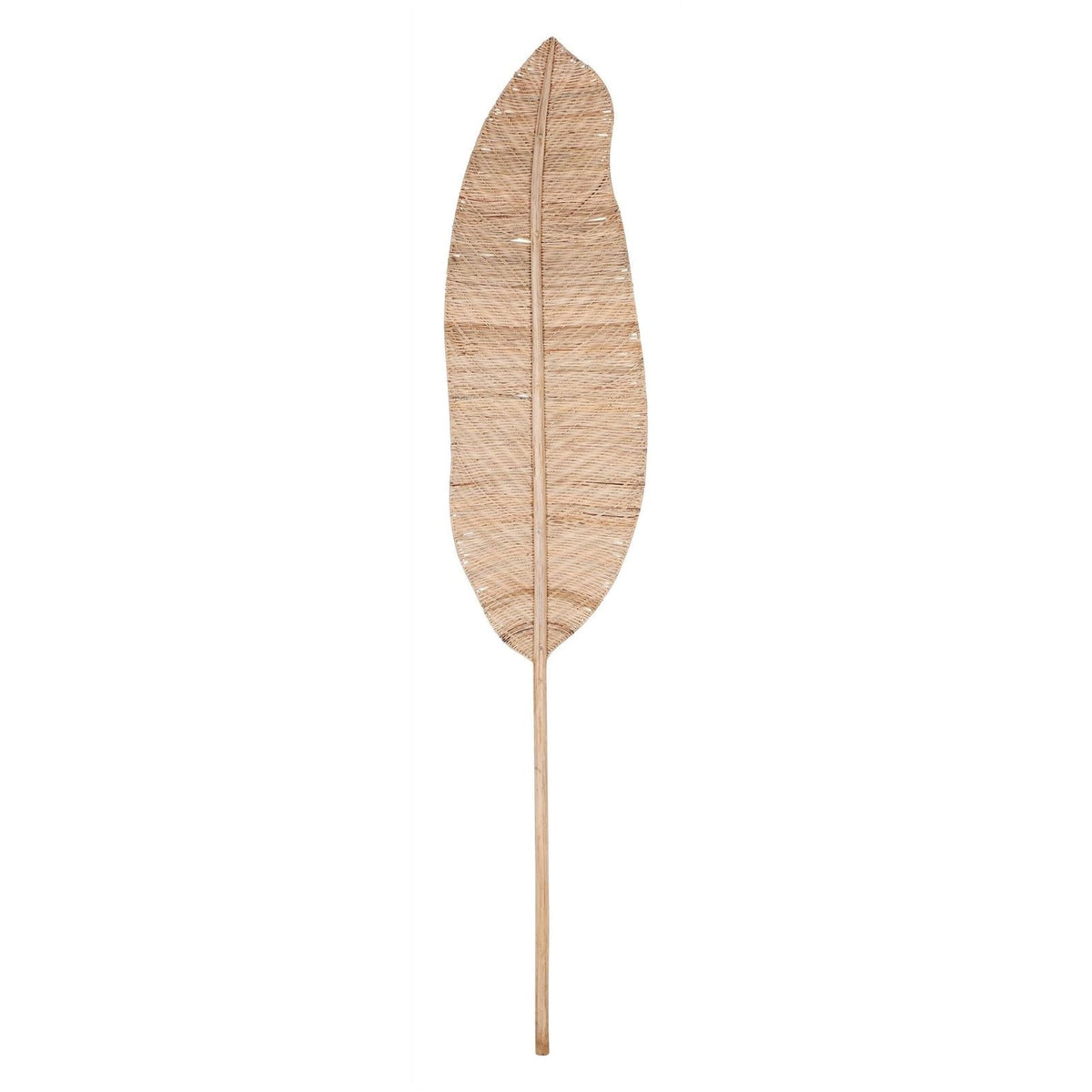 Banana Leaf
