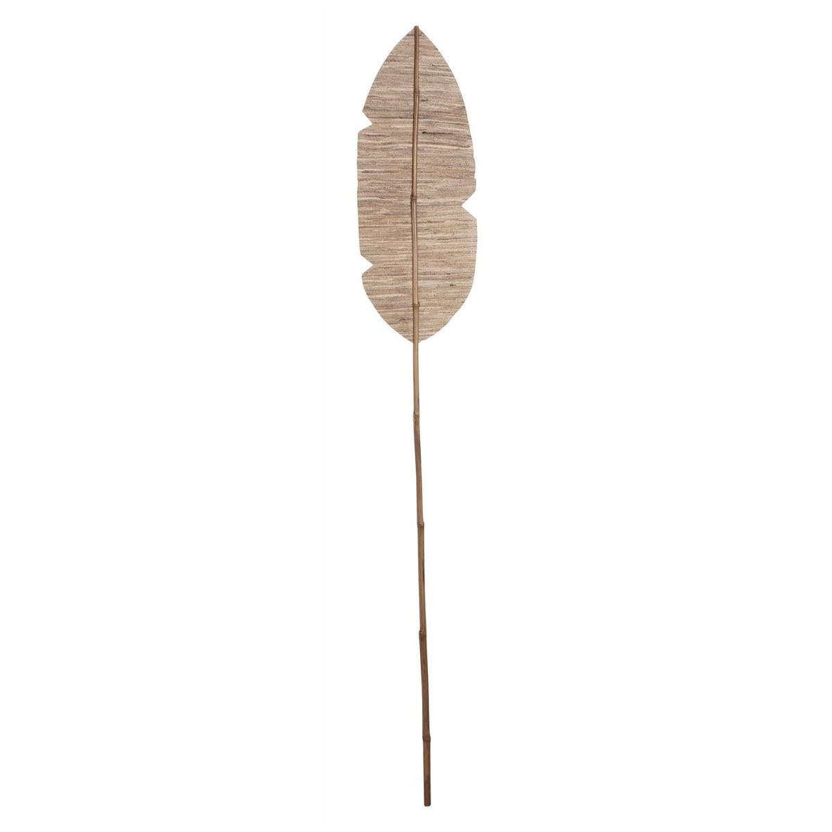 Banana Leaf