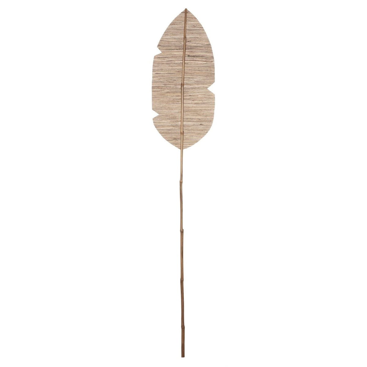 Banana Leaf