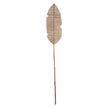 Banana Leaf