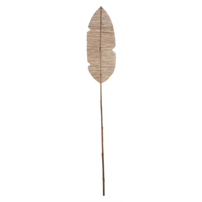 Banana Leaf