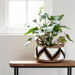 Basket – Set of 2