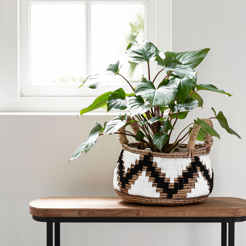 Basket – Set of 2