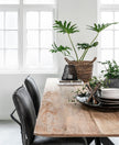 Dining Table Curves Rectangular