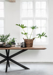 Dining Table Curves Rectangular