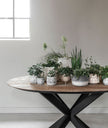Dining Table Shape Round